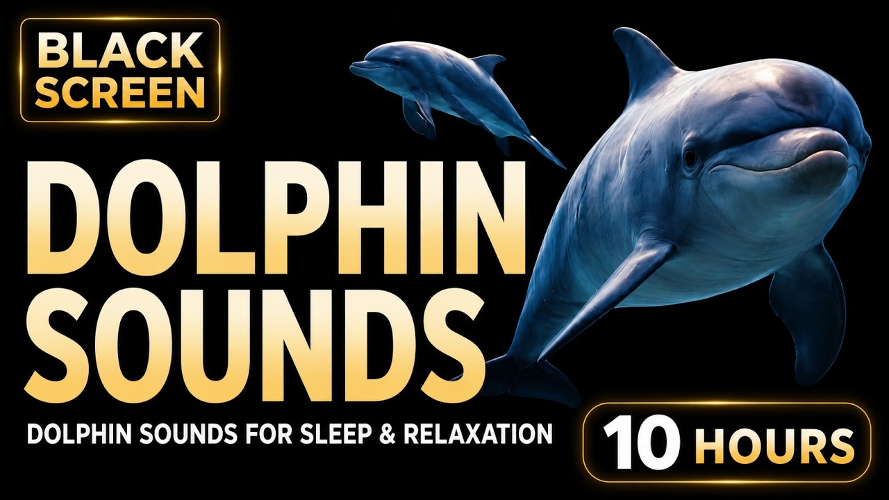 Dolphin Sounds | Calm Ocean Ambience for Relaxation, Sleep, and Focus (10 Hours) Black Screen