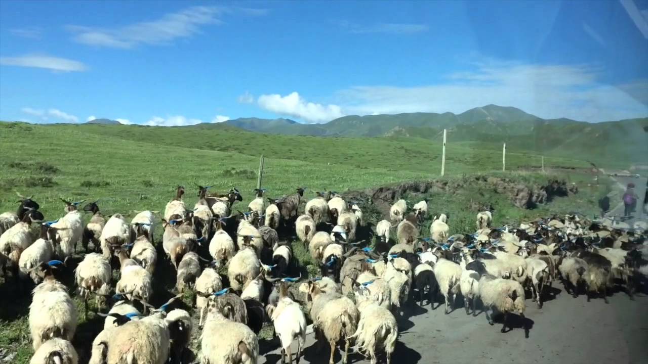 17/32 Xiahe 夏河 to Tongren 同仁, Qinghai 青海