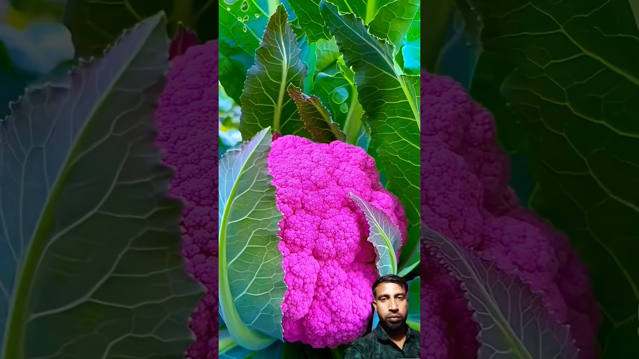 fresh fruits eating 😋 #food #bbbgshow #youtubesecrets #deepblue #funny #youtubetv #automobile #mango