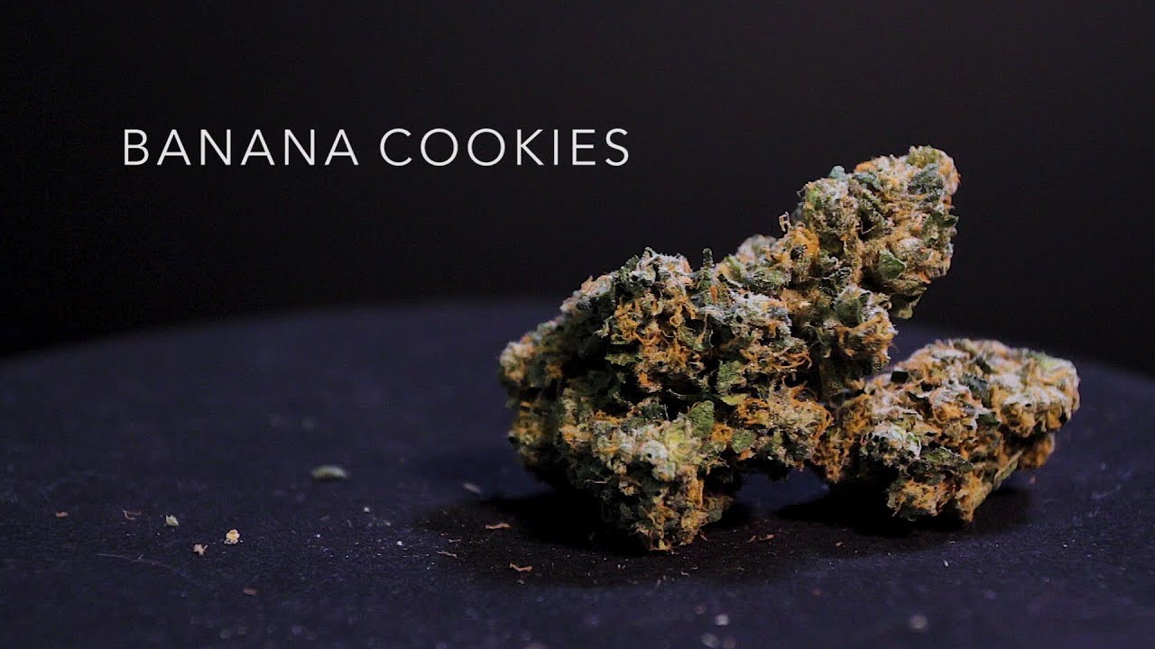 Banana Cookies | Strain Review | Nightly Bud