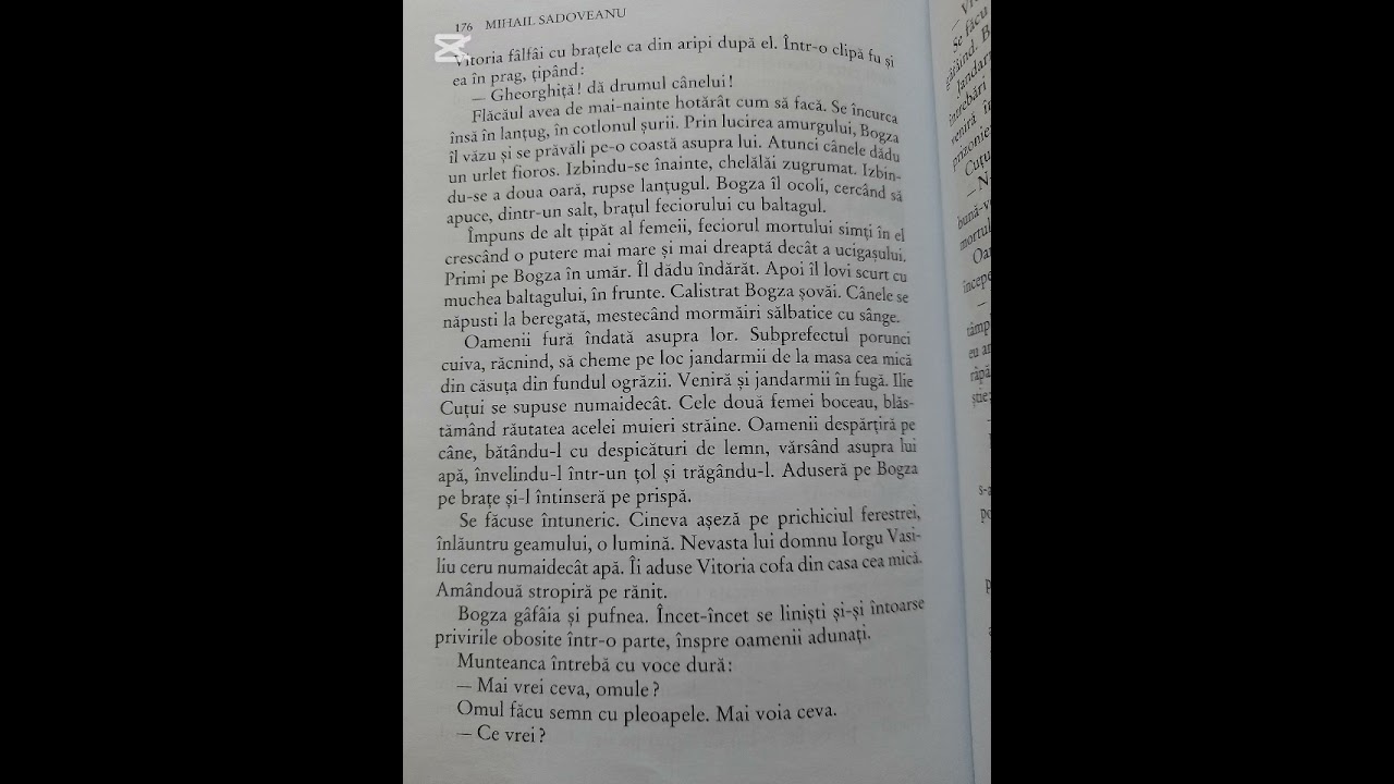 Relevant! Baltagul, cap.16, partea a doua, Bogza se dă de gol
