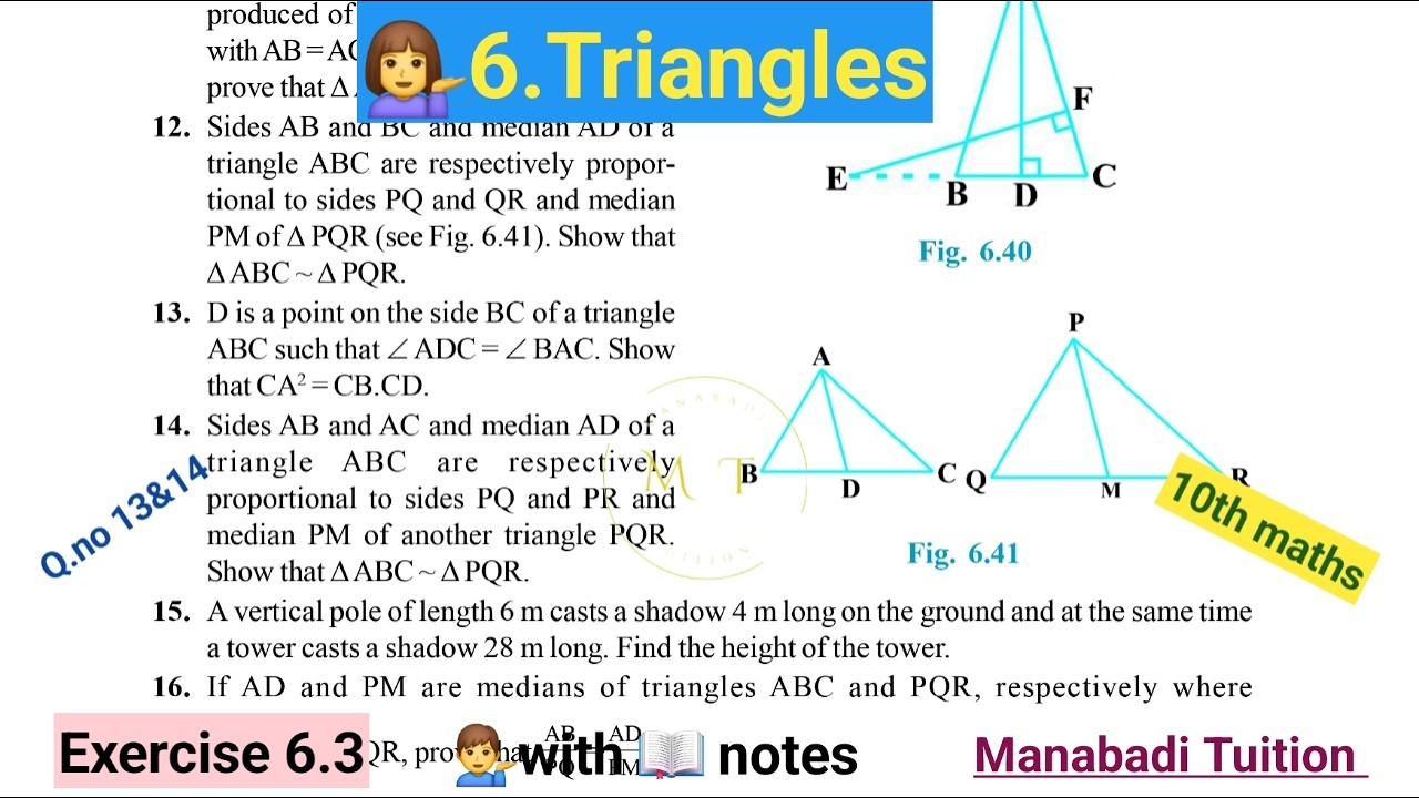 10th class math| Chapter 6|TRiangles| Exercise 6.3| Q no 13&14|With notes| CBSE|NCERT|
