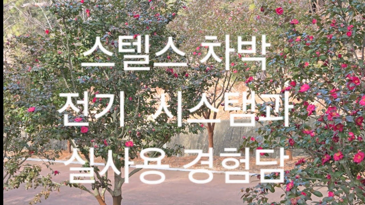 스텔스 캠핑 전기 시스탬과 실사용 설명#캠핑카 전기#노지차박 #노지캠핑#카라반#캠핑음식