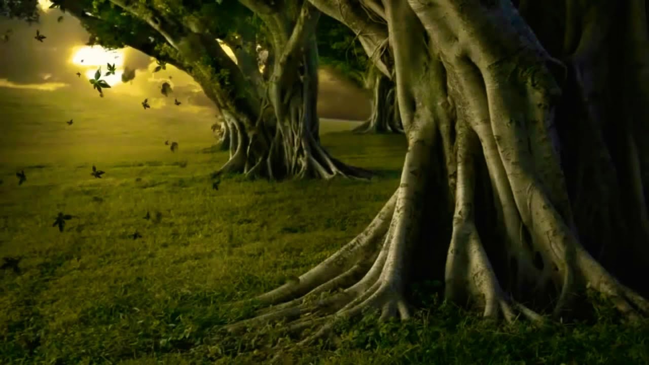 يا اخوتي ماذا نقول ام حزننا جلب البكاء | نشيد