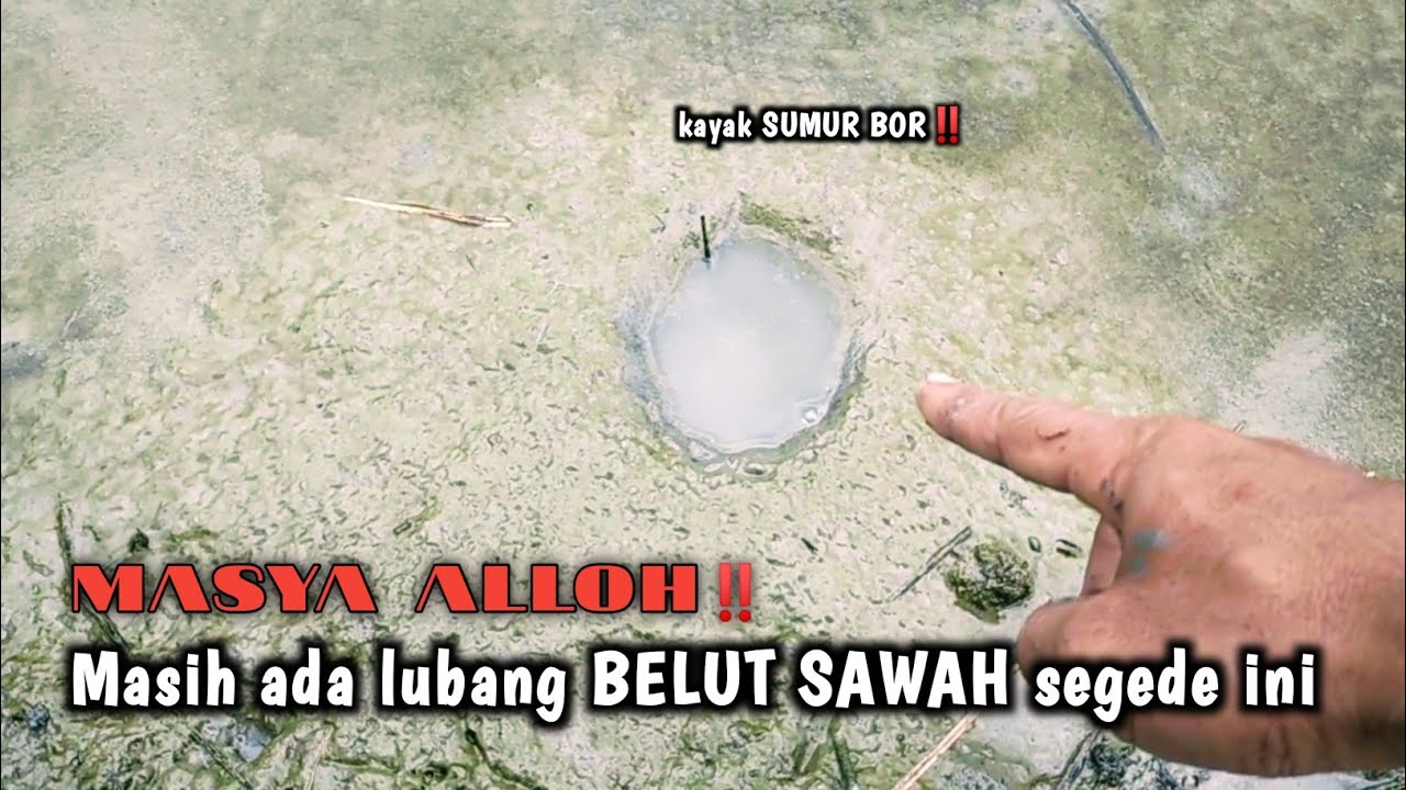 MODAL GALON KOSONG‼️PASTI DAPAT BELUT-BELUT MANDAHONG 