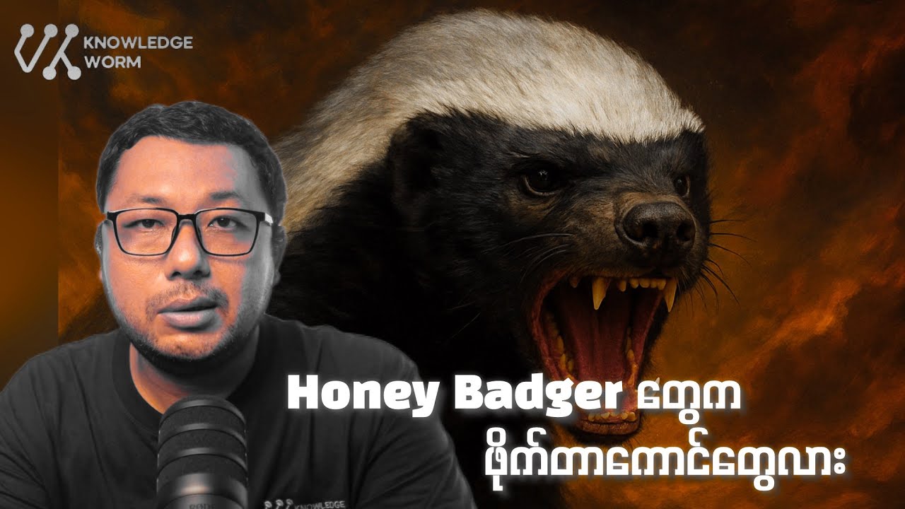 Honey Badger သို့မဟုတ် သဘာဝထဲက ဖိုက်တာများ