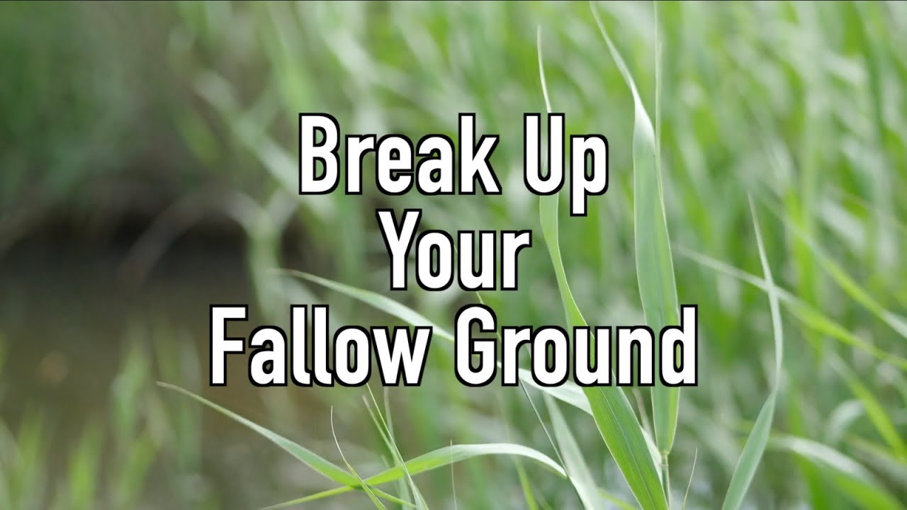 1.1: Break Up Your Fallow Ground