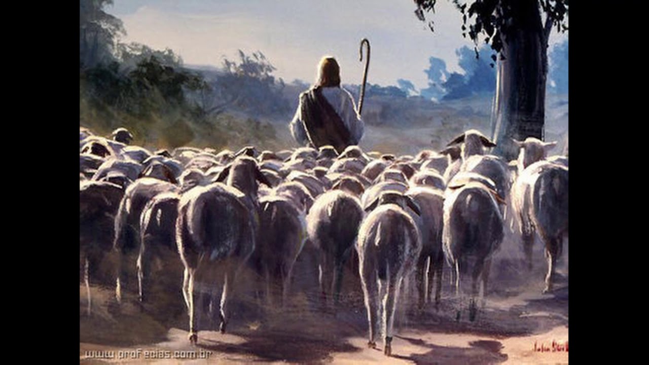 O Cordeiro de Deus-C. Silva