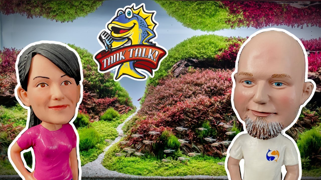 YOU Give US Something To Talk About!  Plus a HUGE Announcement!! Tank Talk Live!!