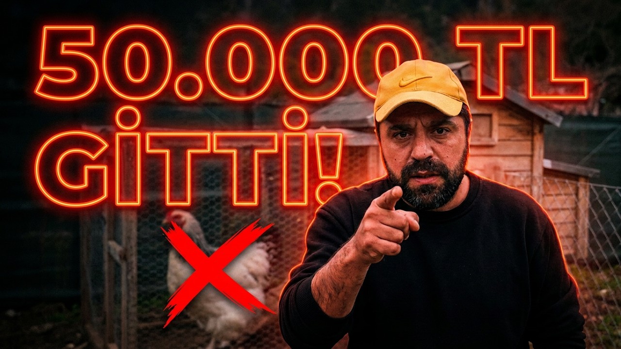 DOLANDIRILDIK !! | BRAHMA DİYE MAYMUN GÖNDERDİLER !! ŞİMDİ NELER OLACAK?