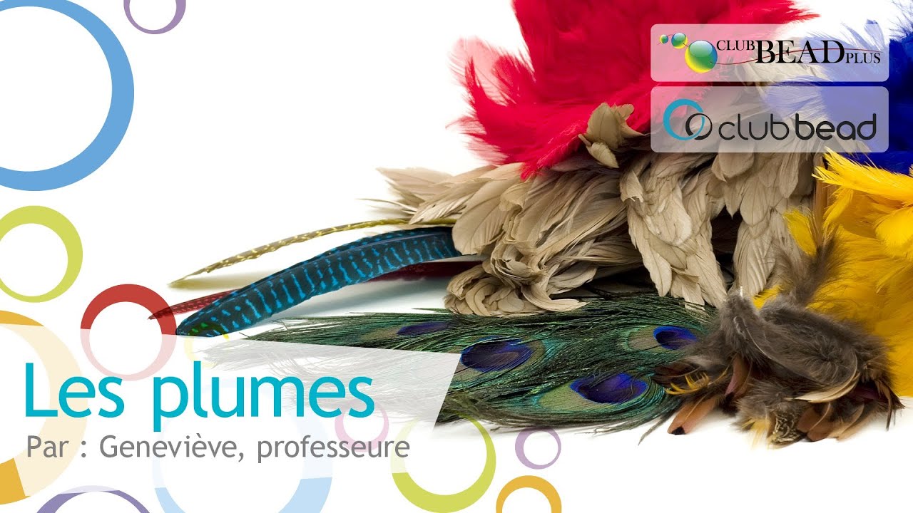 LES PLUMES