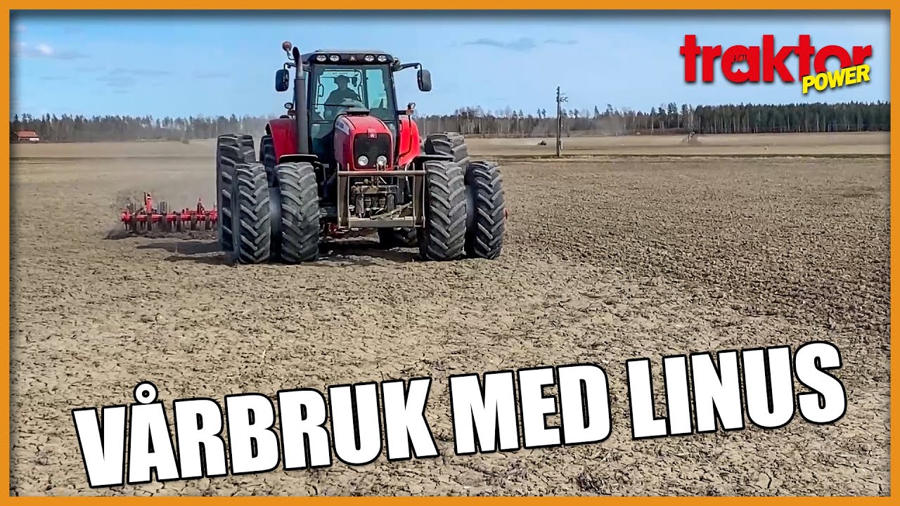 Ung kille harvar med MF 6495
