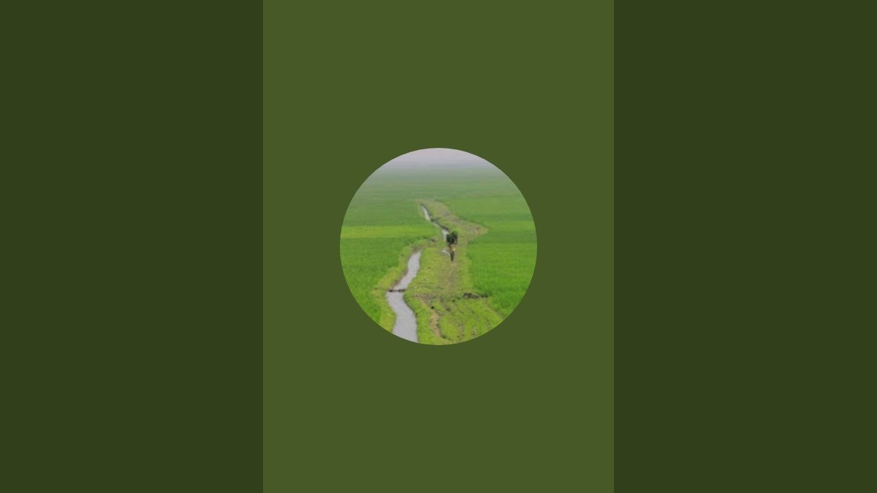 Kishoreganj Haor - কিশোরগঞ্জ হাওড় is live!