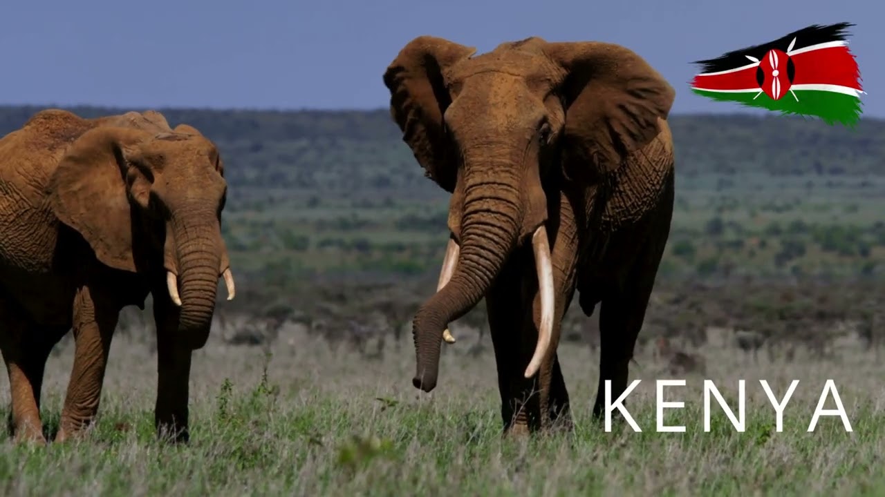 Choose your next destination and adventure affordably