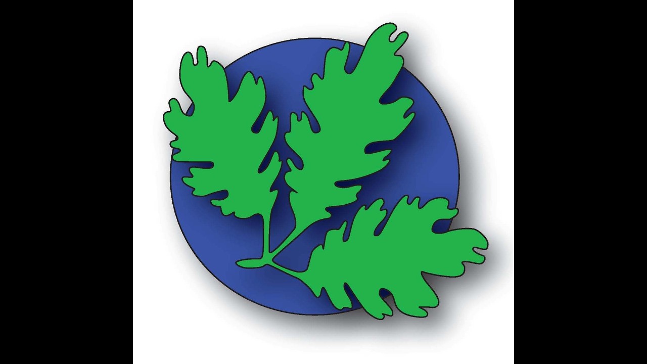 Oak Park Heights Planning Commission 3/12/2026