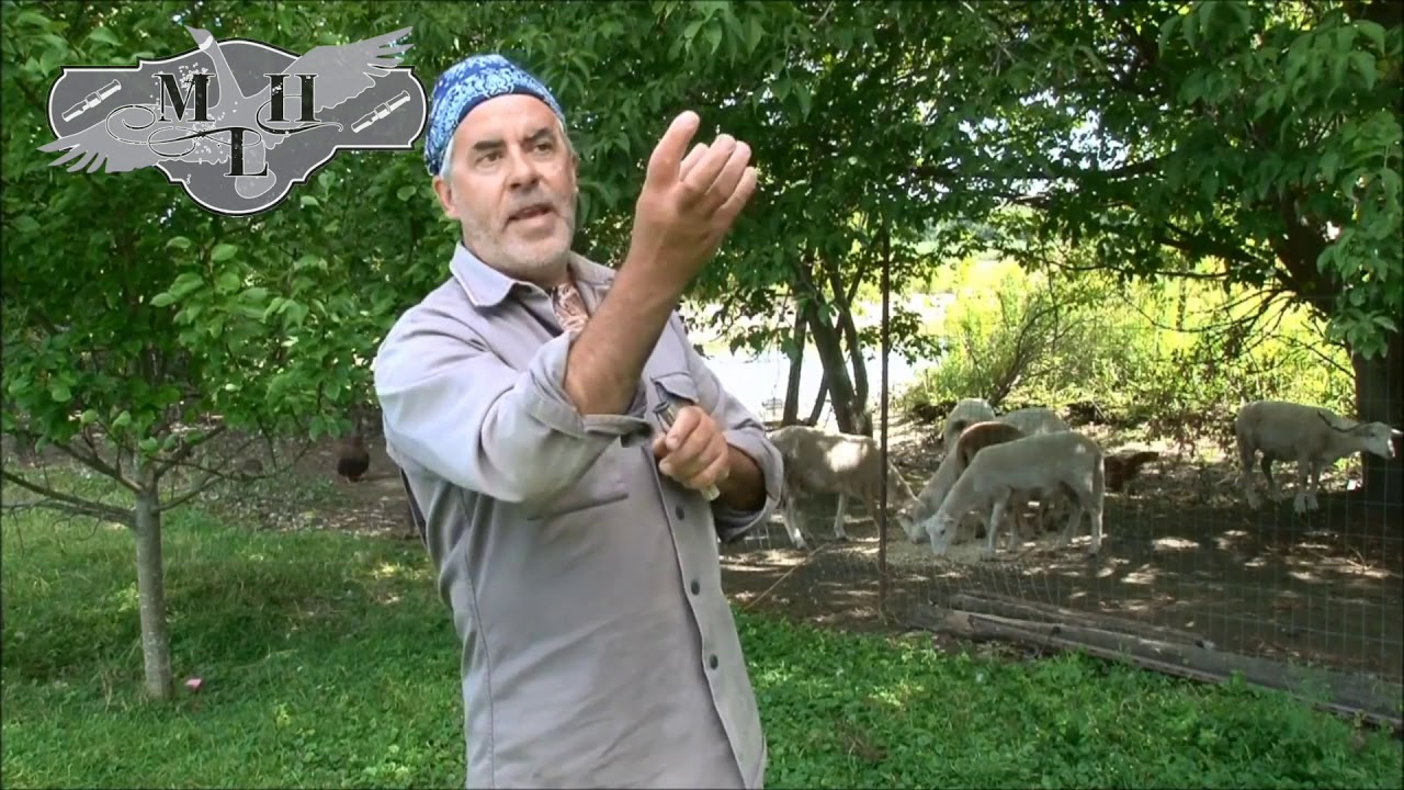 Michel LaHaye - Appel de l'Outarde