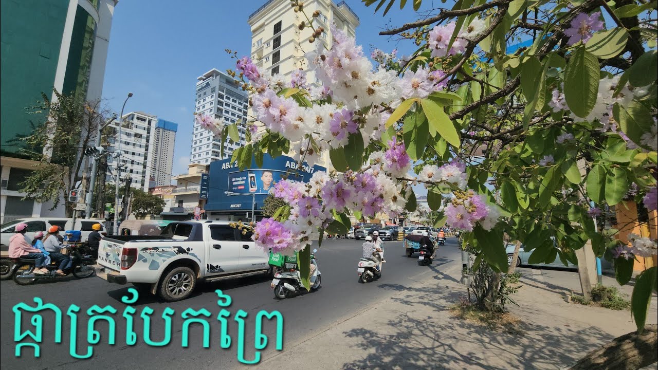ញ៉ាំបាយថ្ងៃត្រប់ផ្ទះបង | Eat lunch at brother's house 