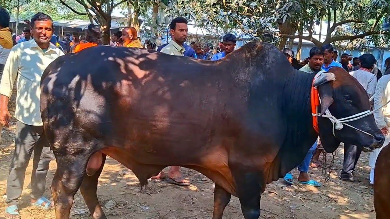 @আজ ১৭ ফেব্রুয়ারী