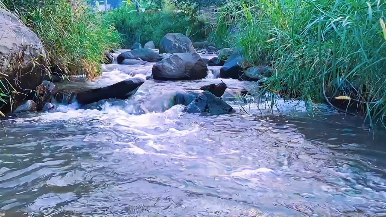 Forest River Ambience for Night Relaxation