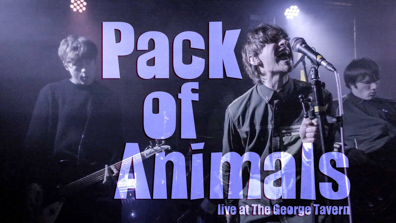 PACK OF ANIMALS Live at The George Tavern