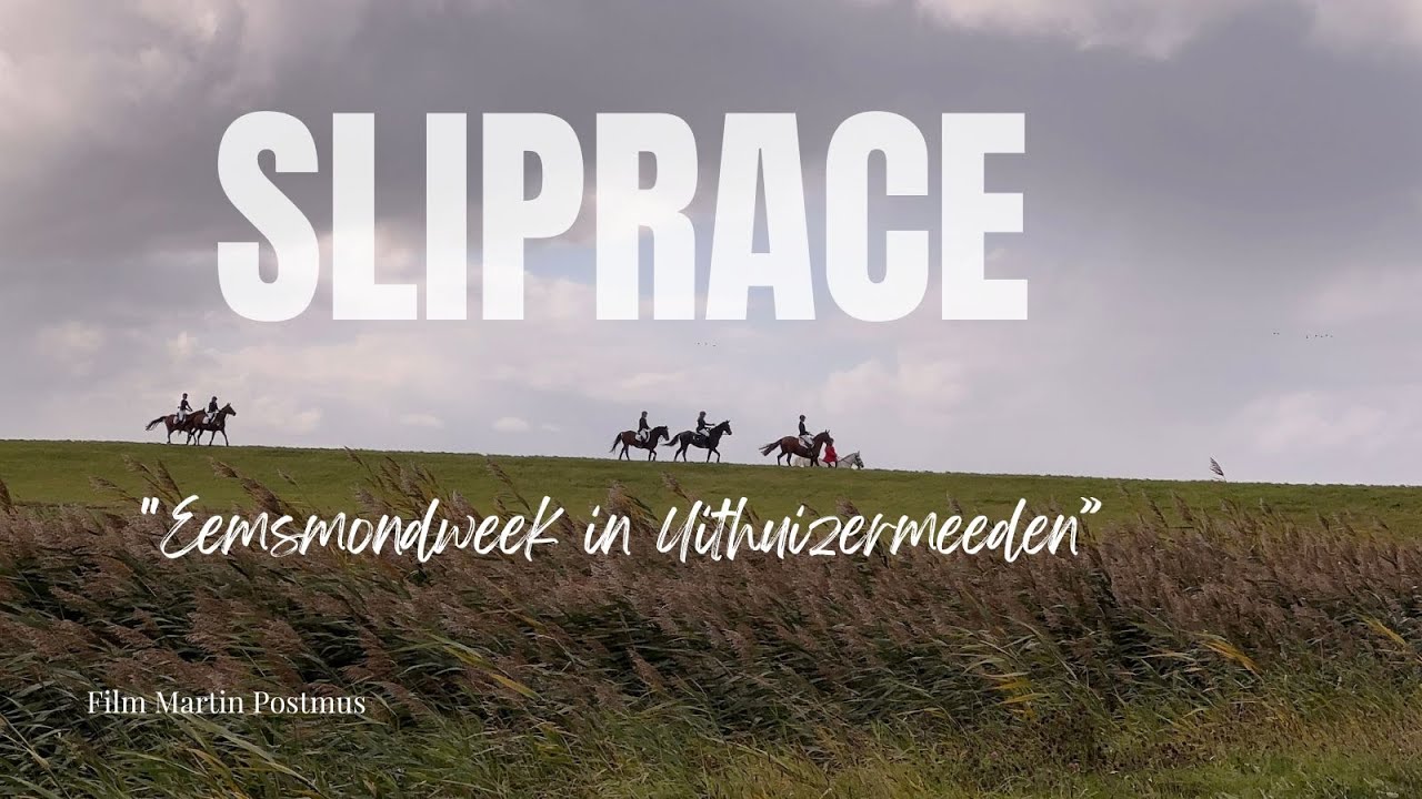Eemsmondweek in Uithuizermeeden met oa slipjacht