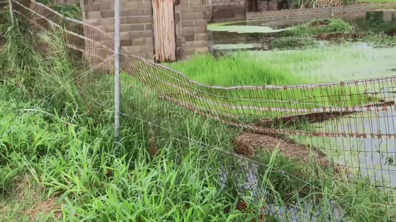 Muita chuva 