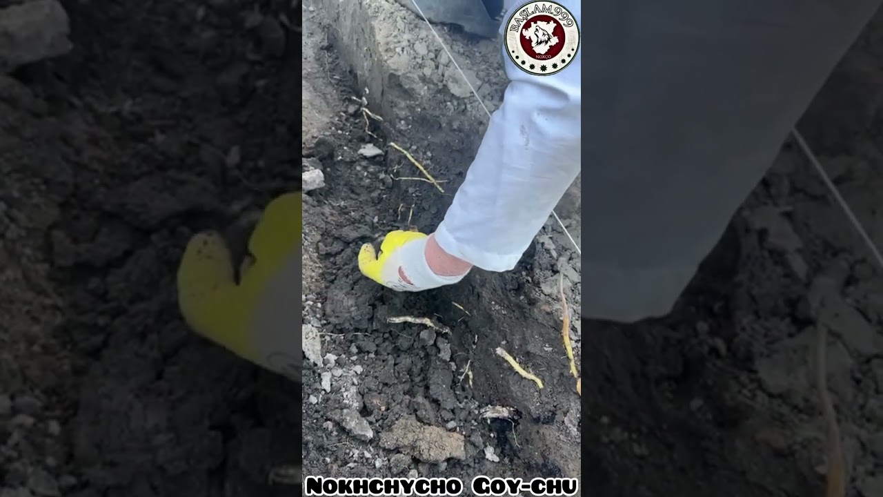 Наша Родина напичкана вот такими находками! 