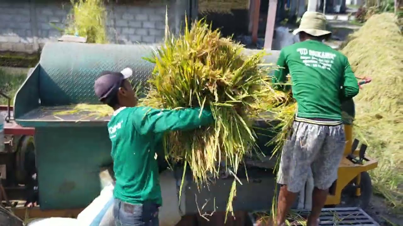 Blower Padi Keliling [] Alat Pertanian