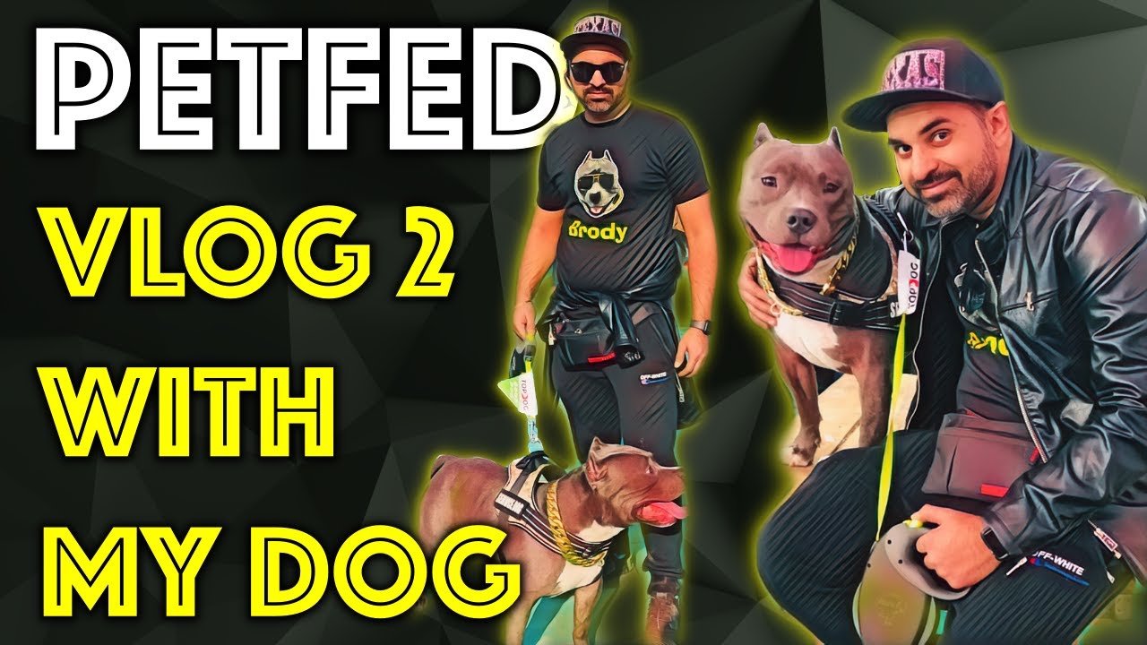 Petfed Vlog 2 with My Dog Brody an American Bully | Pitbull | Harpreet SDC