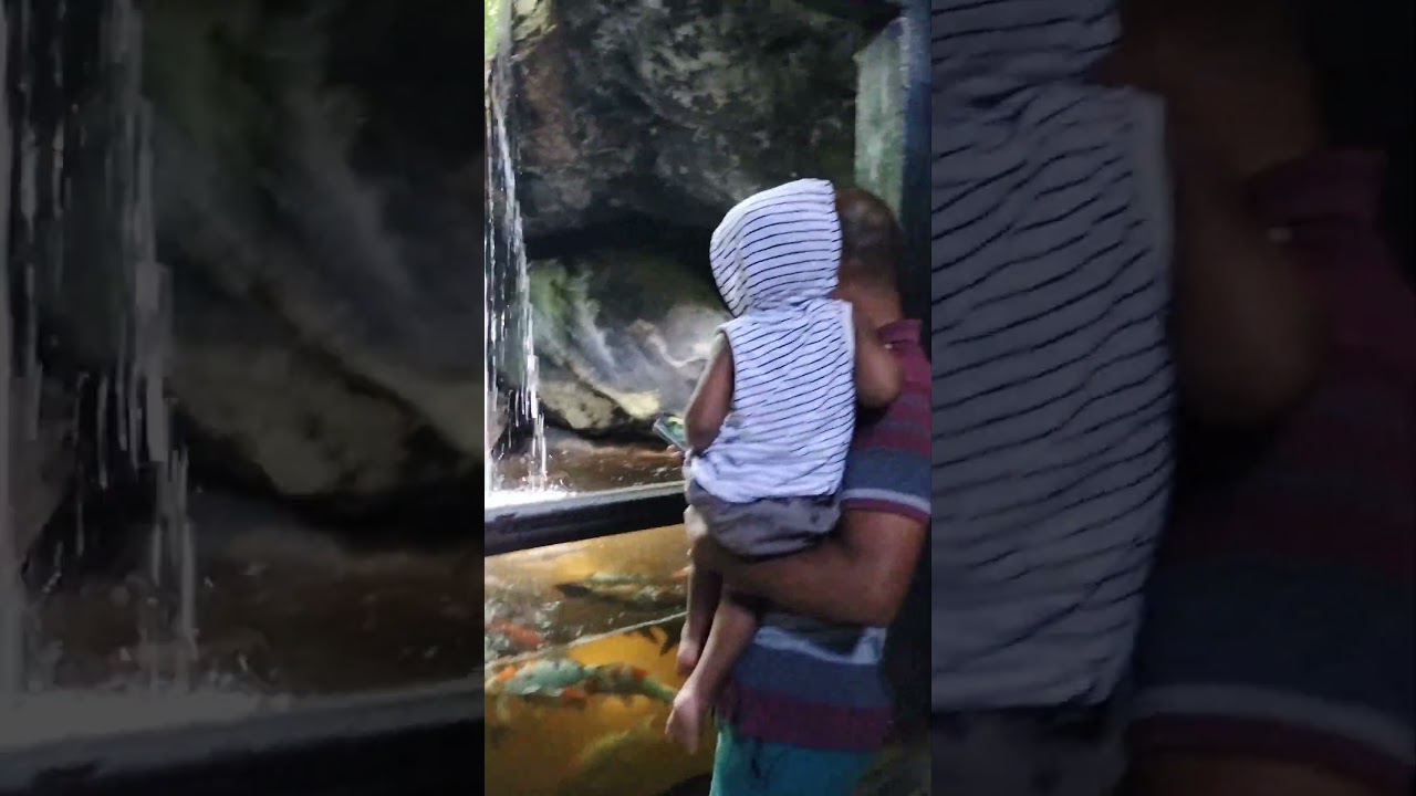 #kalaniya water world#Sri Lanka tourist place#different and amazing stories please#Colombo
