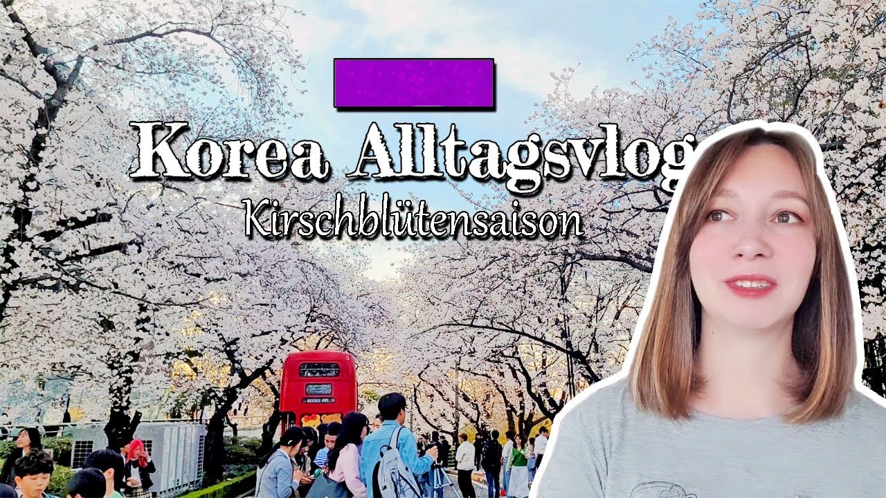 Korea Alltagsvlog - Kirschblüten in Korea 🌸