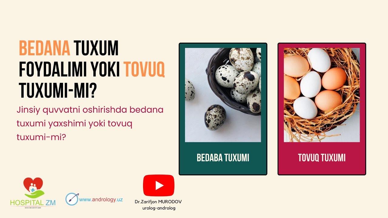Bedana tuxumi va tovuq tuxumi jinisy erkaklarga qaysi biri ko'proq foydali | 1-qism