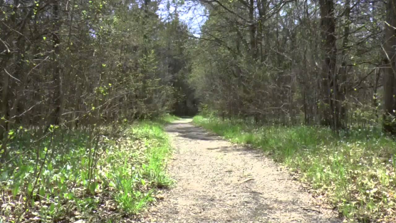 Massassauga Point Conservation Area