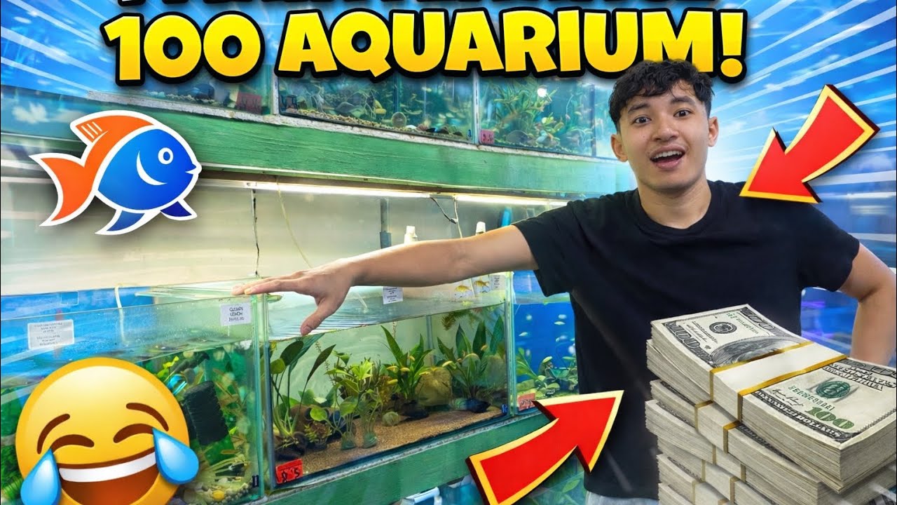 DAILY LIFE AS WORKER AT AQUARIUM STORE 