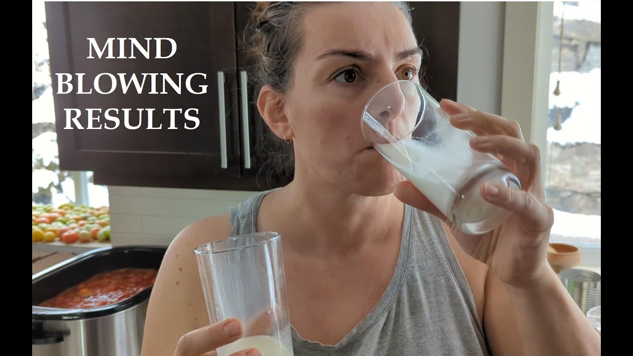 TASTE TEST: ALMOND VS PUMPKIN SEED MILK - Which is Better?