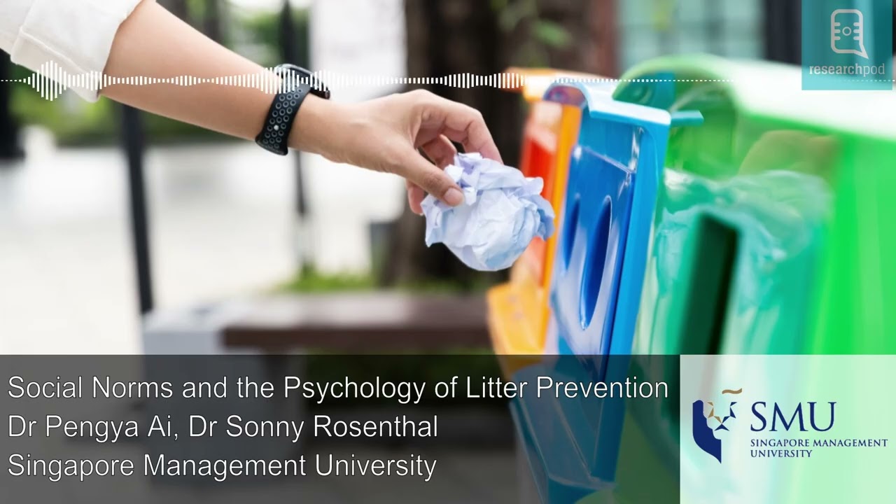 Social Norms and the Psychology of Litter Prevention