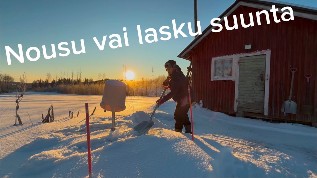Kissoja,kauppakassi ja kaivon veden pinta