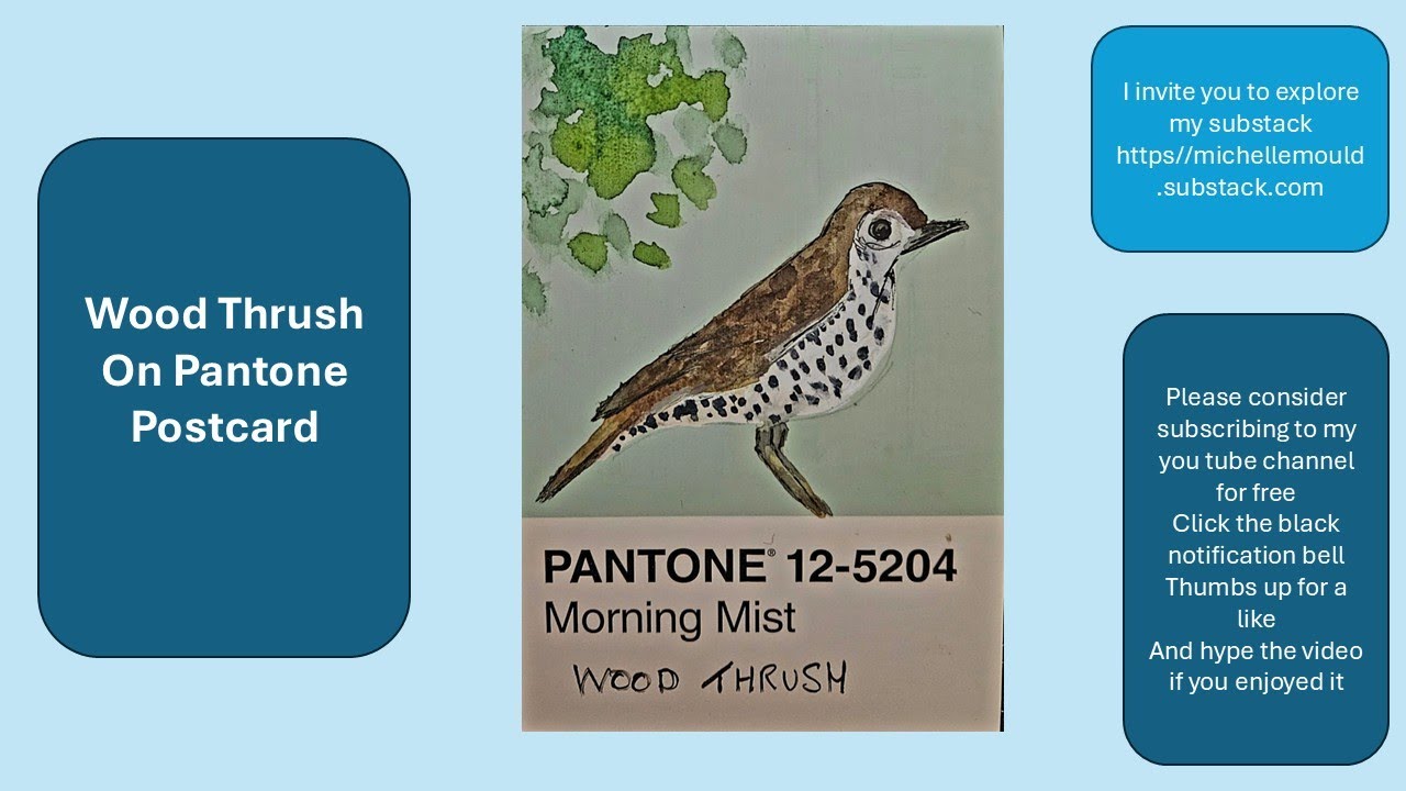 Дрозд-лесовик, акварель на открытке Pantone.