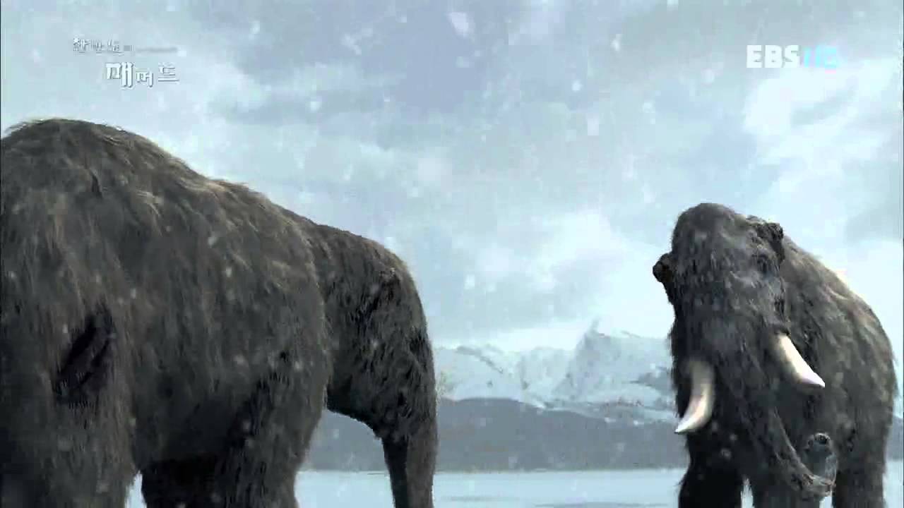EBS 다큐프라임 - Docuprime_한반도의 매머드 1부_#004