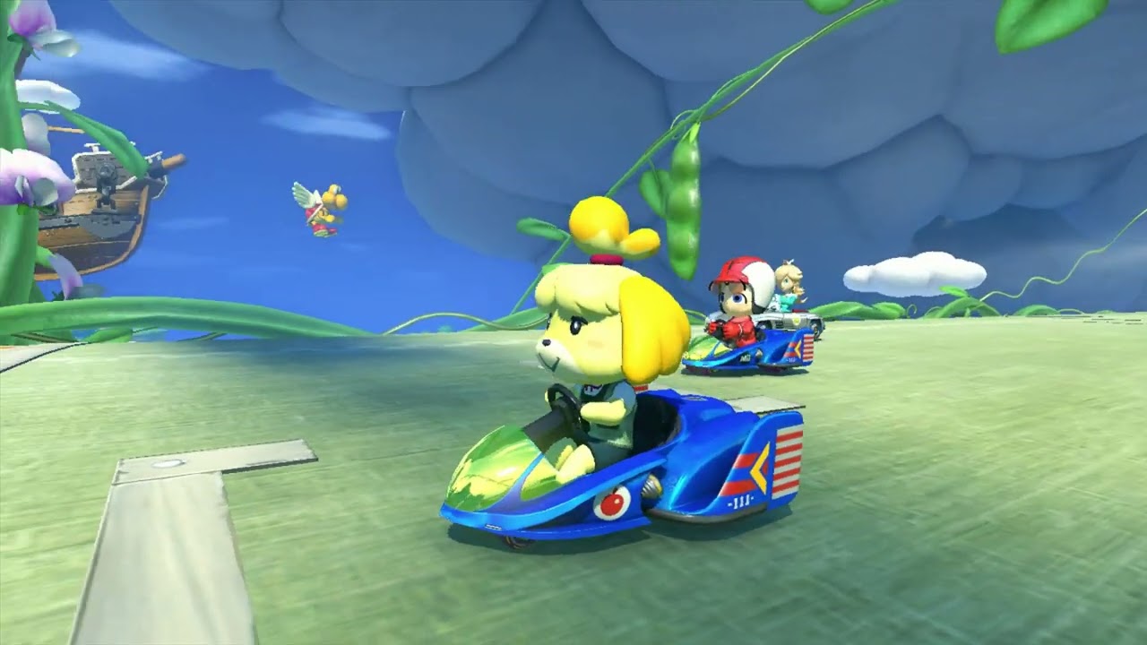 MK8 SDM#1004