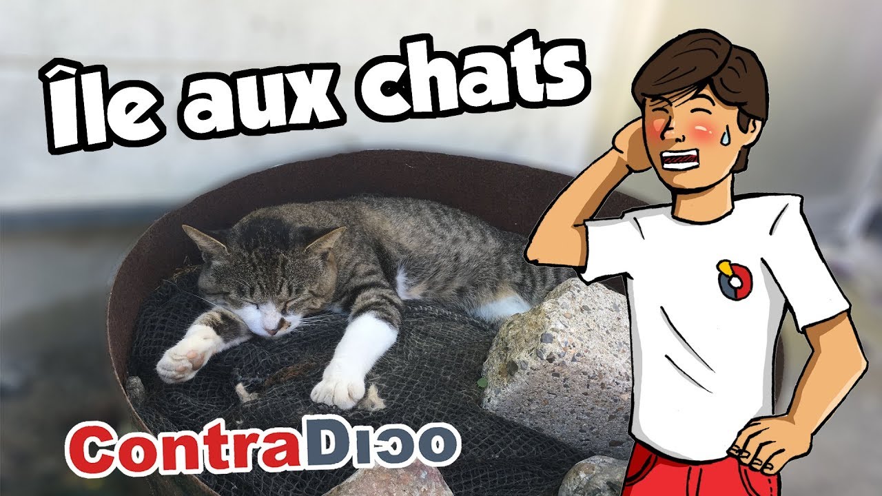 L'&icirc;le aux chats 🐱 c'est trop nul ! 🏝️ vlog #1