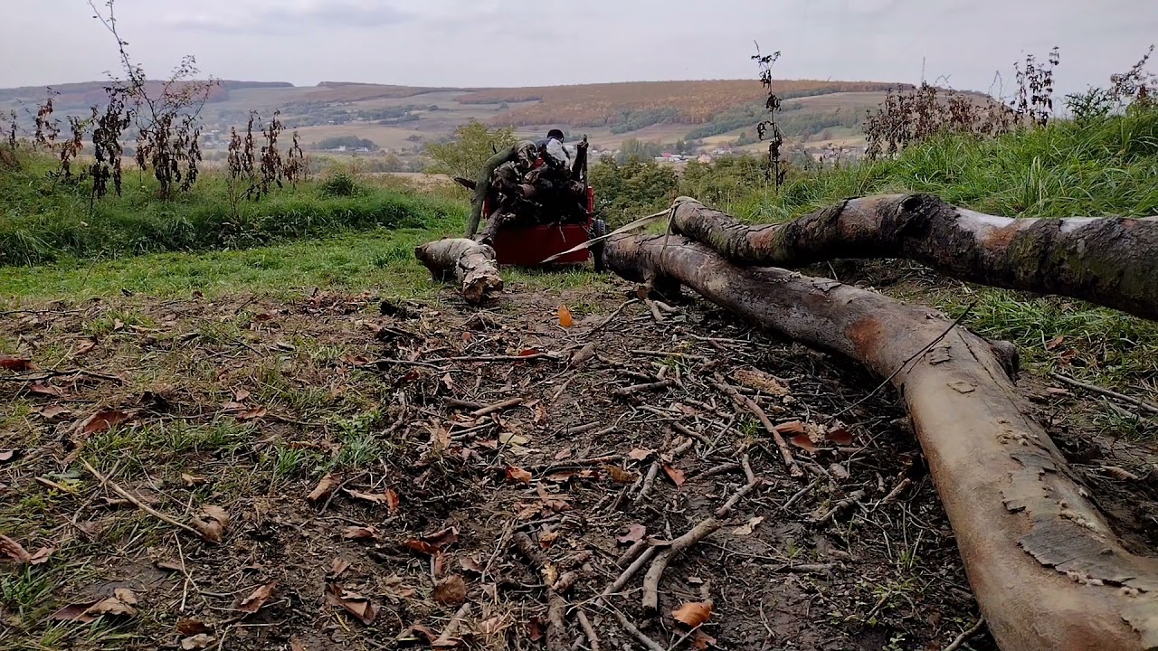 La pădure cu motocultorul Energo (+ am tras ditamai bulumacii după remorca încărcată cu lemne)