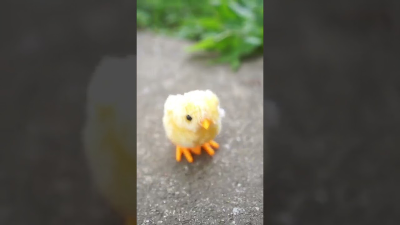 Fuzzy Windup Baby Chick