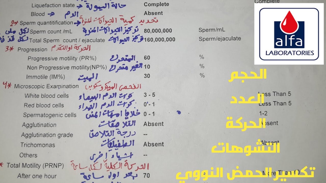 Как расшифровать анализ спермы и узнать причину задержки беременности