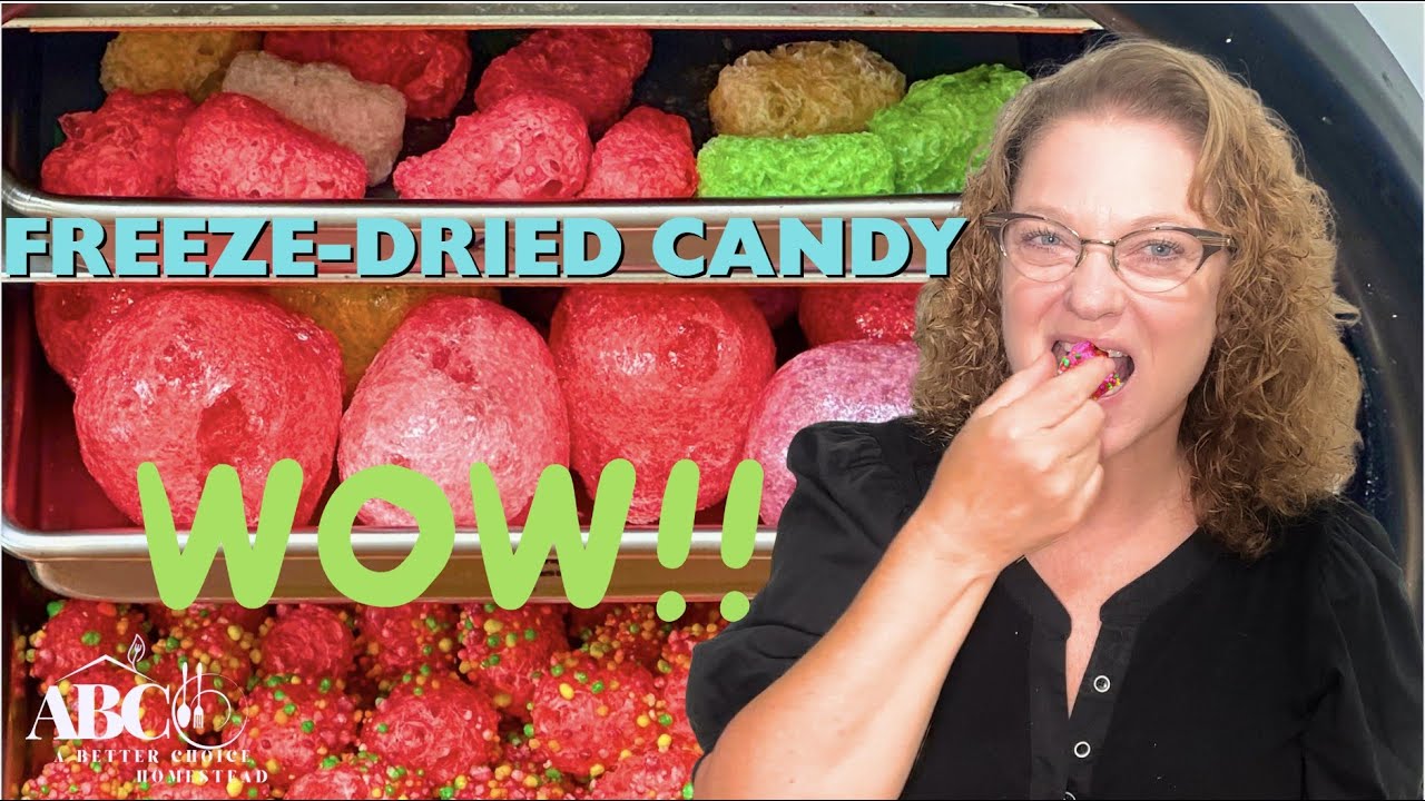 Gummy Bears in a Freeze Dryer—Insane Transformation!