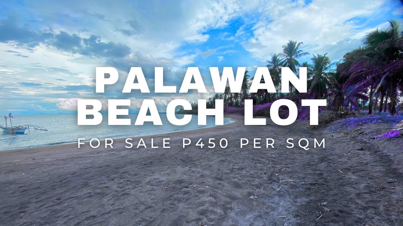 Murang Palawan Beach Lot For Sale (P450 per sqm)