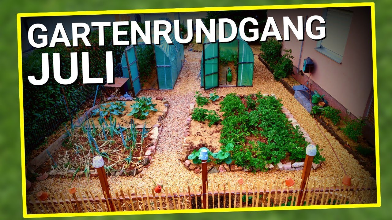 Gartenrundgang Juli | Wie sehen die Pflanzen 2023 aus trotz Dürre?