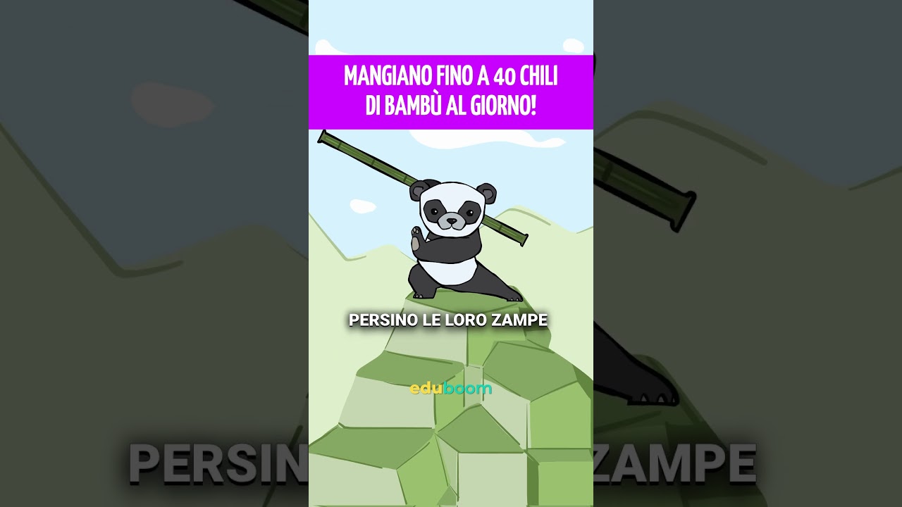 Mangiano fino a 40 chili di bamb&ugrave; al giorno!