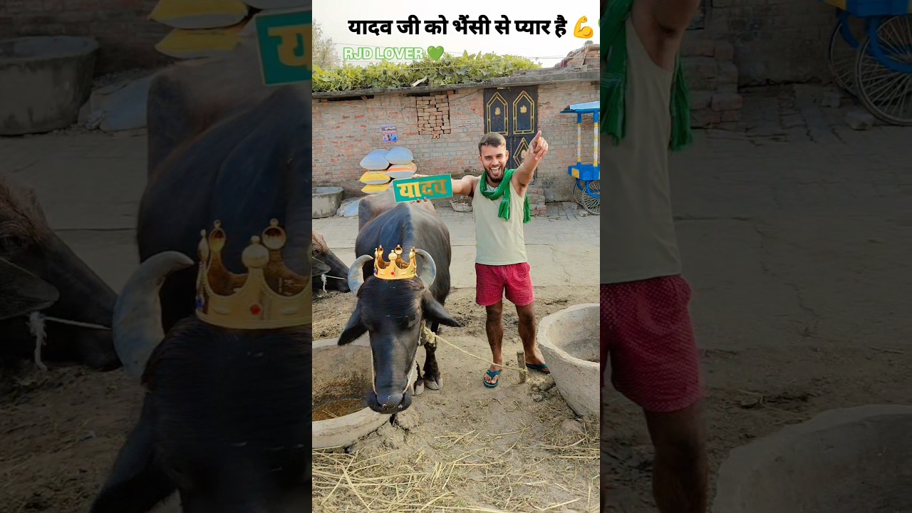 YADAV BRAND 💪 yadav bhai subscribe #shortsfeed #viral #shorts #viralvideo #rjd #trending