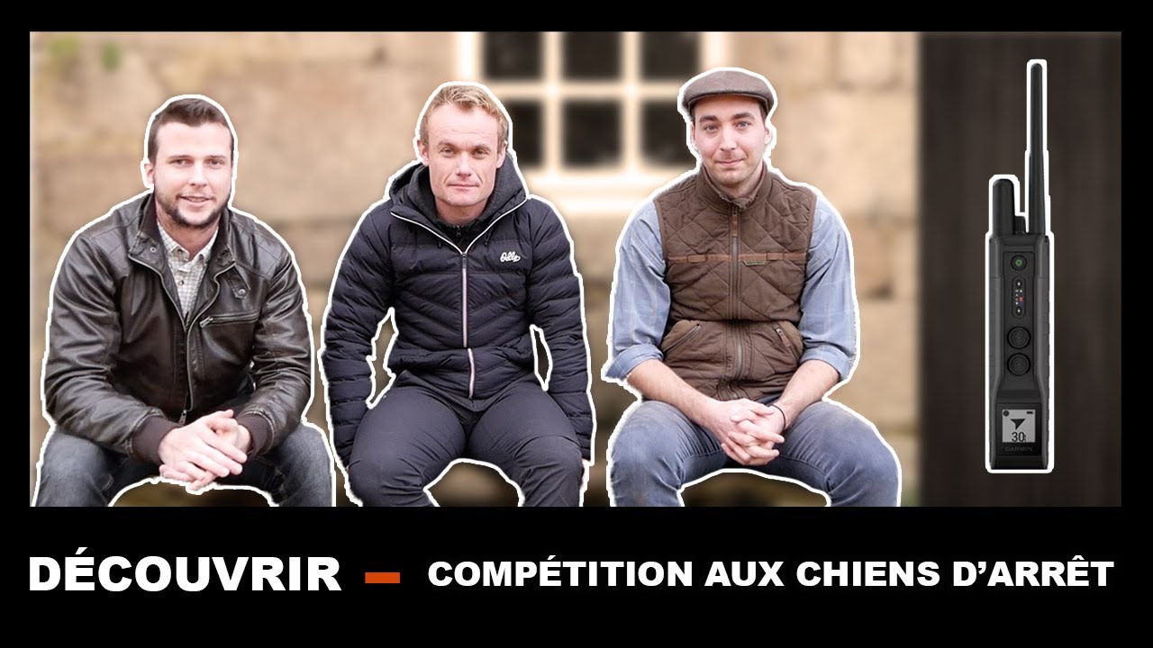 COMPETITION DES CHIENS D'ARRET ET AVIS DU GARMIN PRO550+